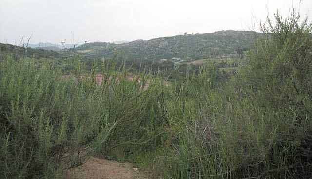 1st image of 23781 Highway 78