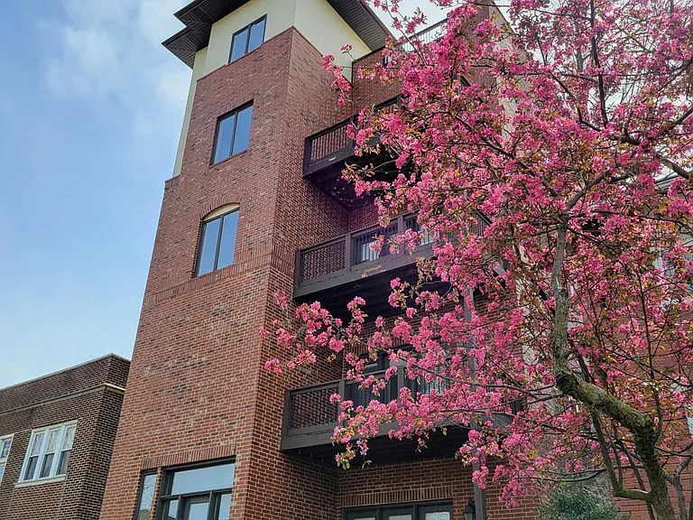 6416 Cates Ave #1 — Photo 31
