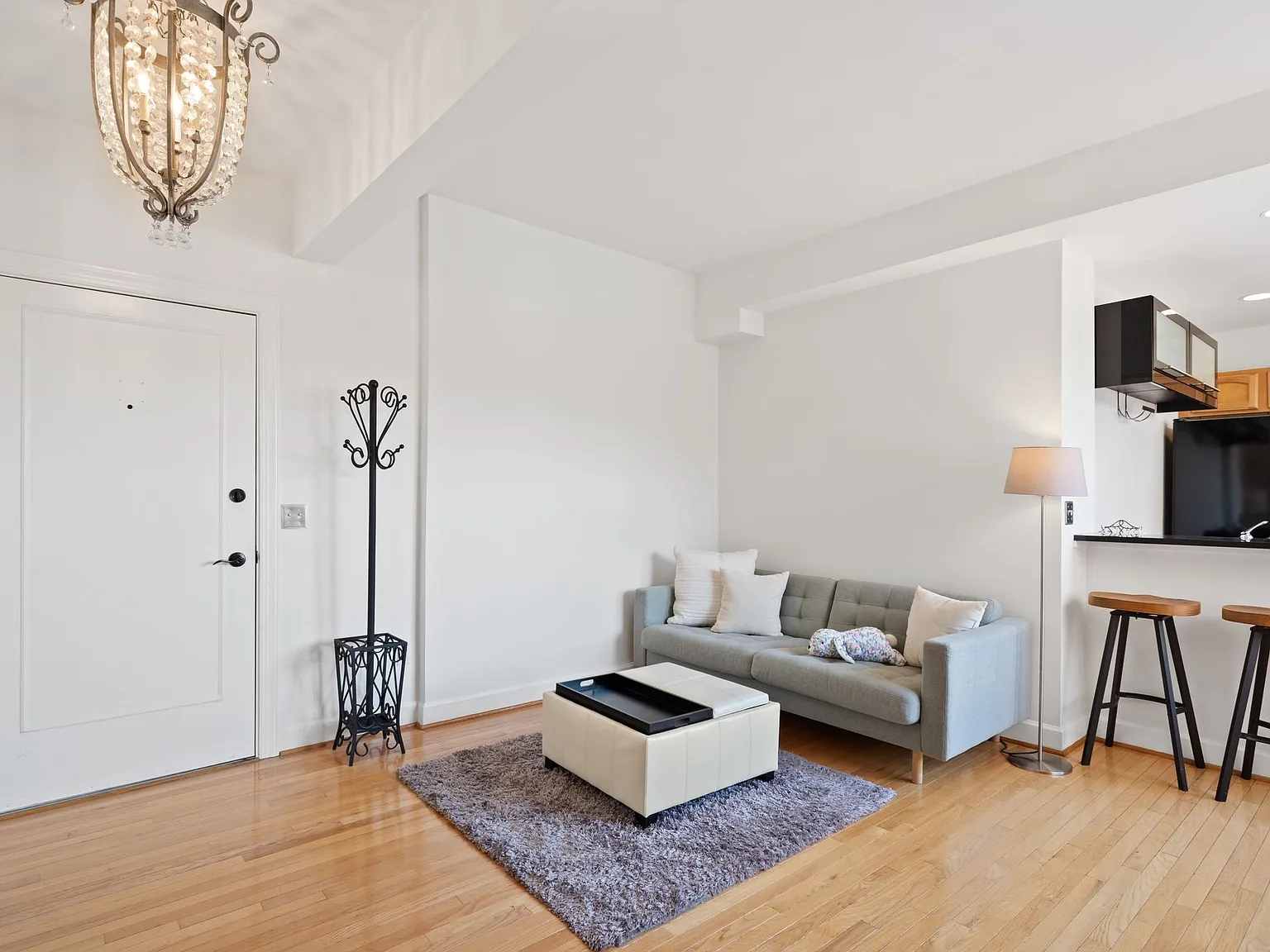 1 bed, 548 sqft, $2,250 — Photo 4