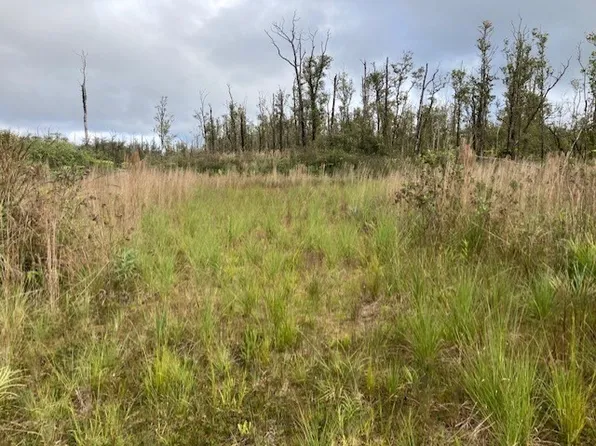 Ohialani Rd Lot 24, Volcano, HI 96785