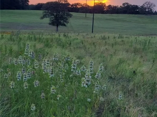 340 County Road 282, Cameron, TX 76520