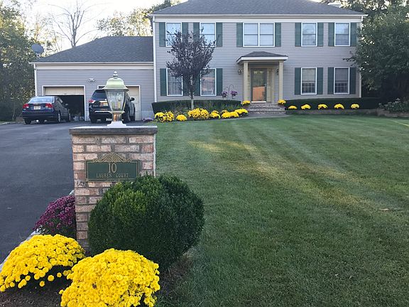 Yellow mums for beauty