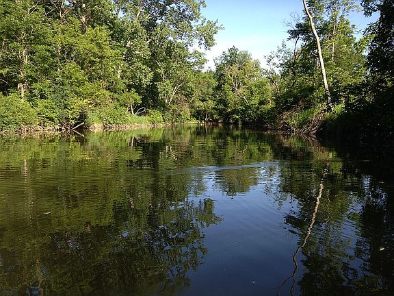 Caz creek 1/2 mile away