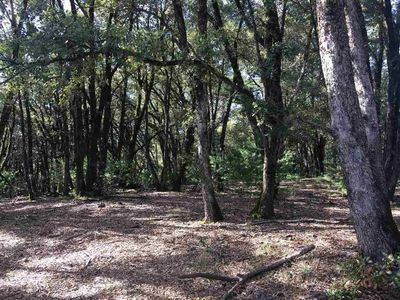 0 Mineral Ridge Ct, Pine Grove, CA, 95665