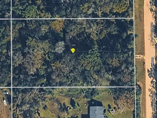 2462 Goldenrod Ave, Middleburg, FL 32068