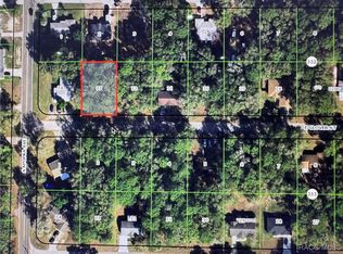 6325 E Glover St, Inverness, FL 34452