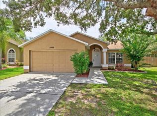 13446 Beechberry Dr, Riverview, FL 33579