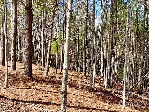 4th image of LOT 162 Johns Ridge Pkwy Lot 162