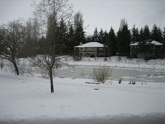 Lake in Winter