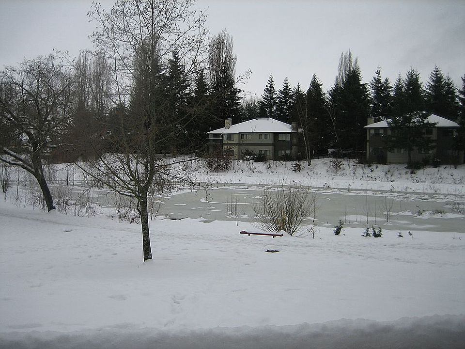 Lake in Winter