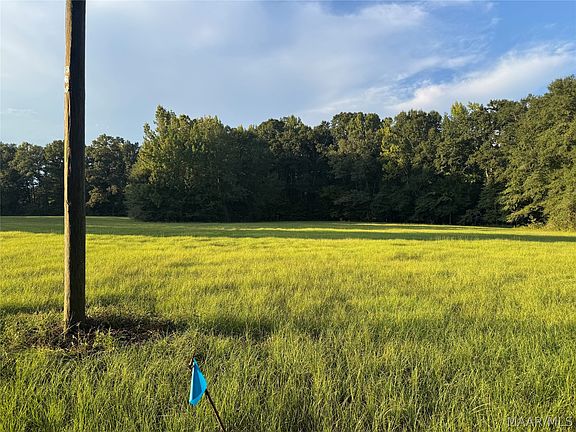 5th image of 359 Old Barnes Rd