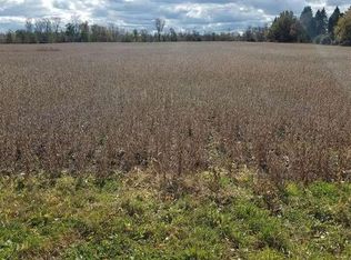 Potter Rd, Davison, MI 48423