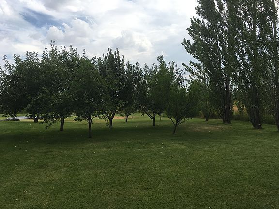 Fruit Orchard
