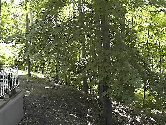 View across back yard