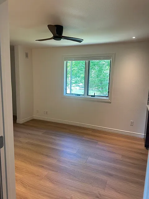 1 bed, 500 sqft, $3,000 — Photo 3