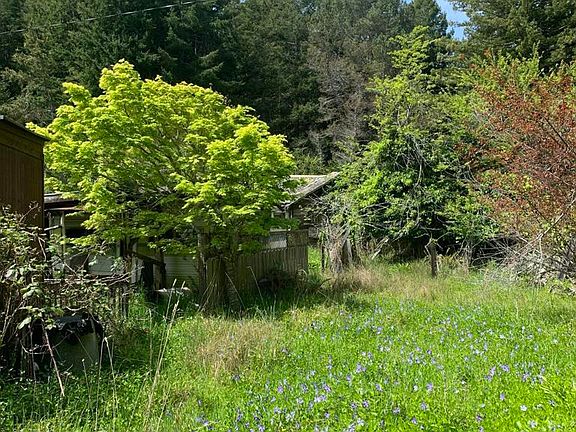 3rd image of 23501 Branscomb Rd