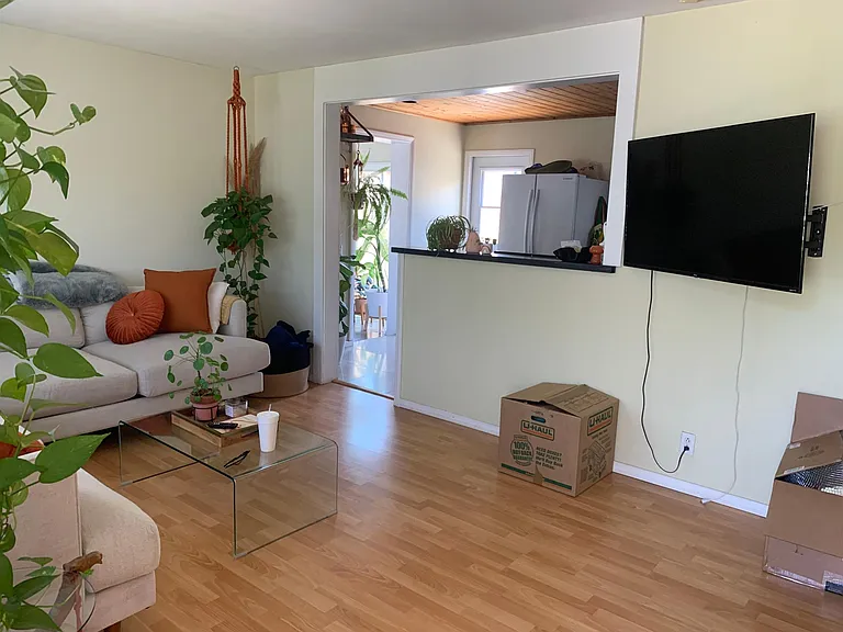 933 Dogwood St — Photo 8