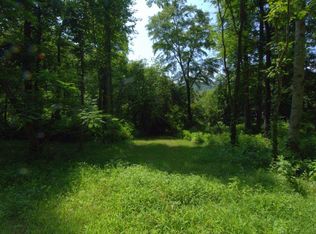 0 E Buffalo Cir, Robbinsville, NC 28771