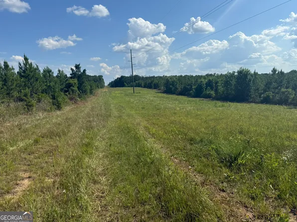 9 George Milling Rd, Cuthbert, GA 39840
