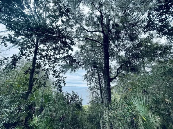 NE 245th Street Rd, Fort Mc Coy, FL 32134