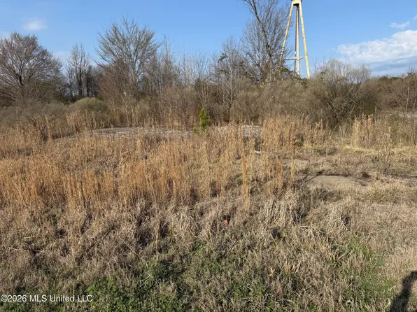 Eiland Ave, Louisville, MS 39339