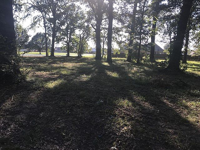 2nd image of 746 Pleasant Woods Dr