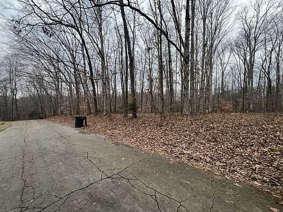 2nd image of 0 Chestnut St