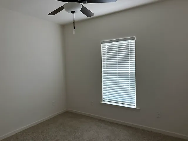 4838 Viola Farms Dr — Photo 9