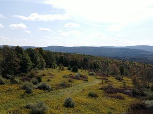 Sisson Hill Rd #7, Unadilla, NY 13849