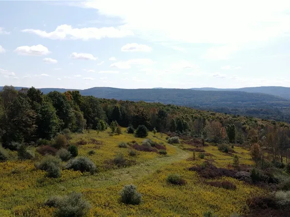 Sisson Hill Rd #7, Unadilla, NY 13849