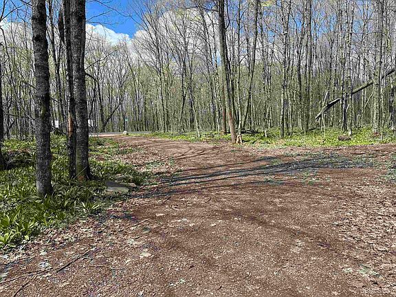 4th image of Off East Shore Rd