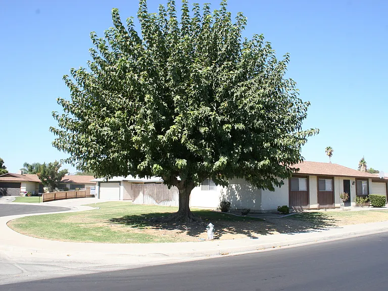 3509 Cardamon Dr — Photo 14