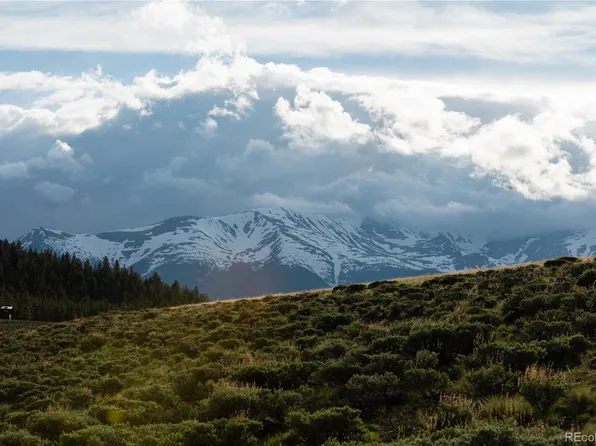 104 N Norene Circle, Twin Lakes, CO 81251