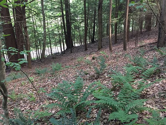 Looking down to road