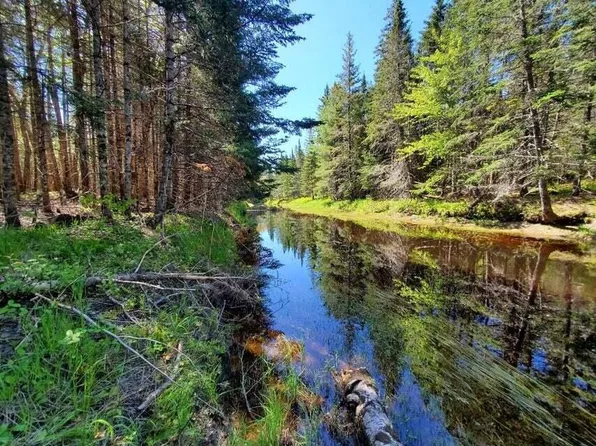 3-2 Black Cow Meadow, Northfield, ME 04654