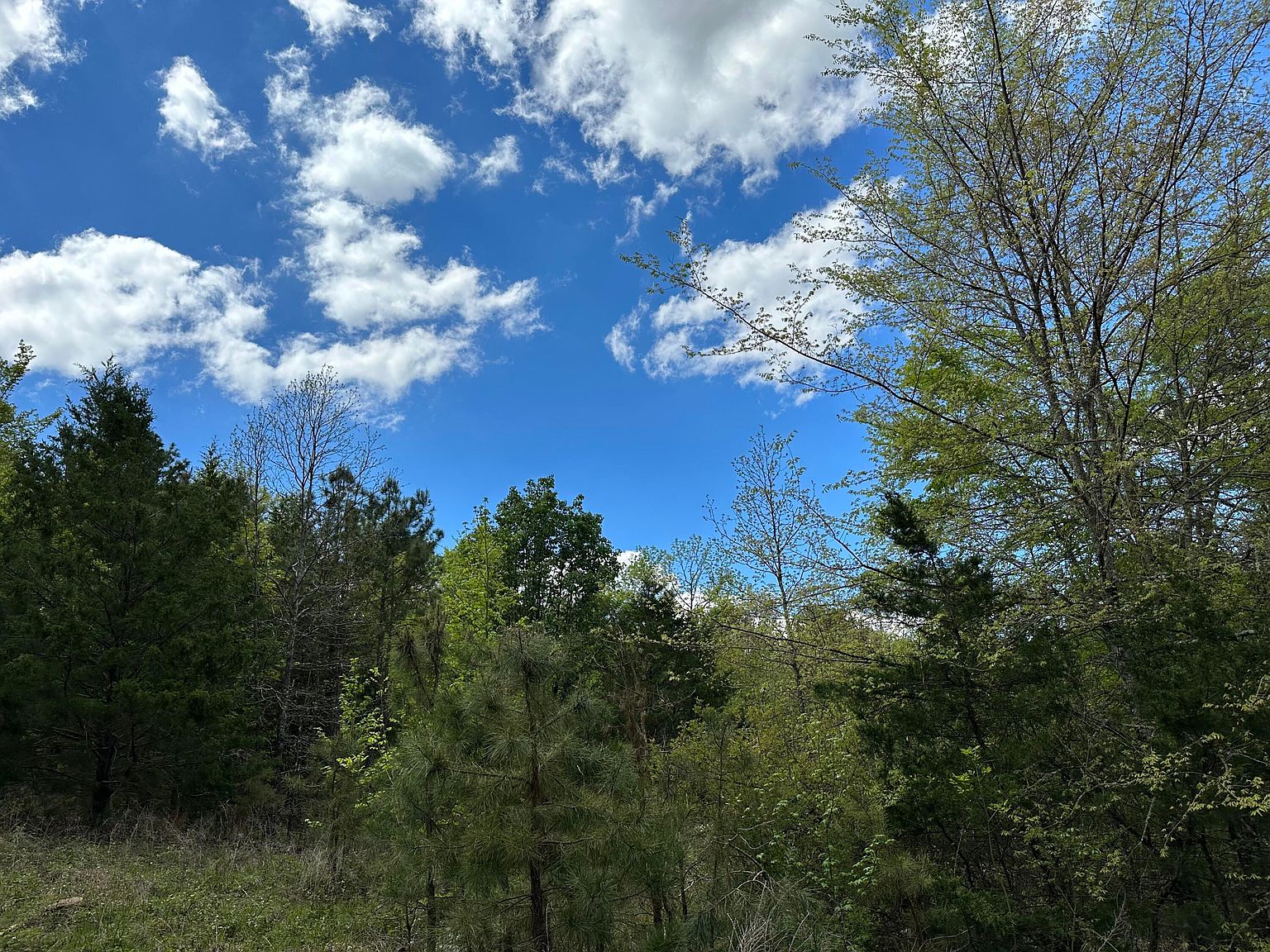 42714, Lamar, AR 72846 Zillow