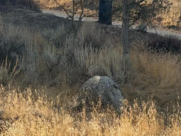 0 Peregrine Pl #5, Tehachapi, CA 93561