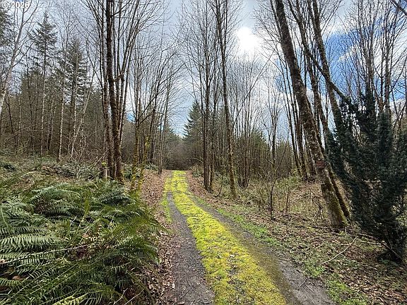 4th image of Tide Creek Rd