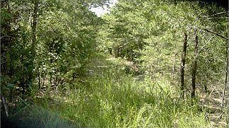 2nd image of 10235 Wades Dead End Rd