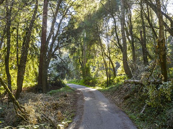 3rd image of 4444 Trout Gulch Rd