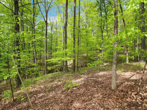 10551 Owl Hollow Rd, Poland, IN 47868