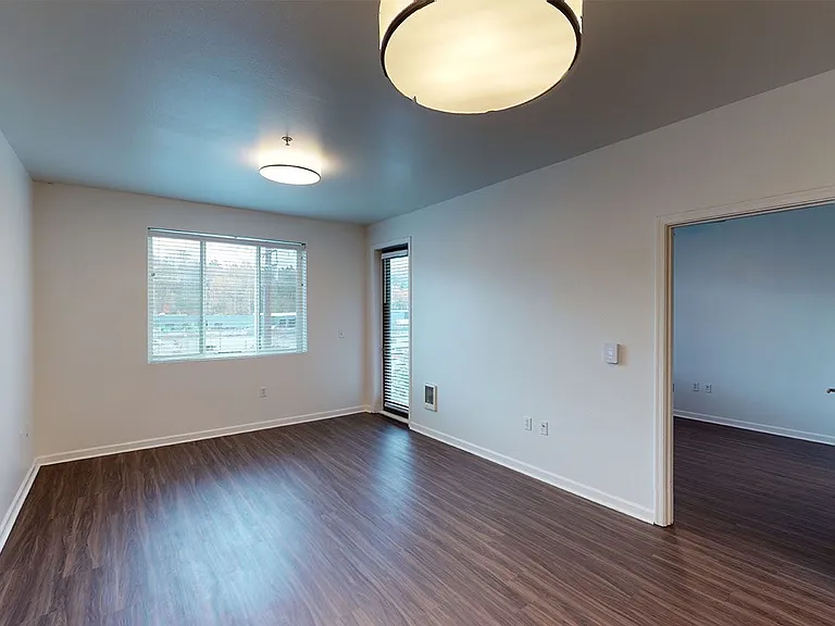 Apartment living room with wood-style flooring.