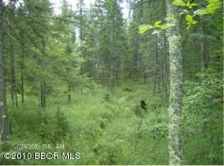 Lamon Rd NE, Bemidji, MN 56601
