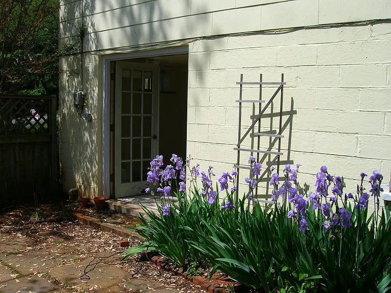 1217 Meriwether St #B — Photo 8