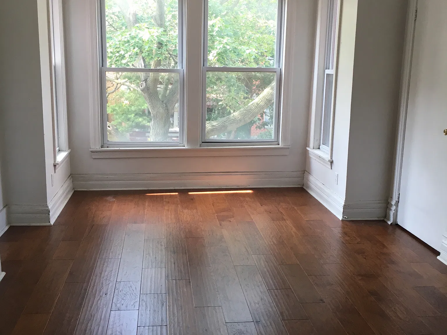 2 bed, $1,600 — Photo 3
