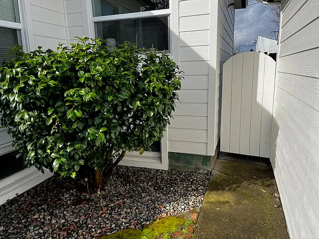 Gate to private courtyard space.