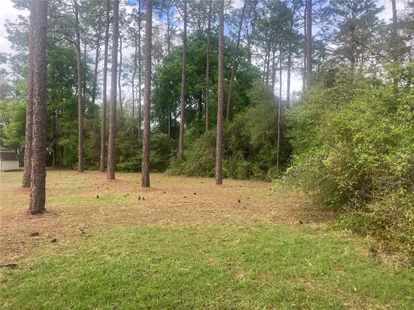 SE 19th Pl, Silver Springs, FL 34488