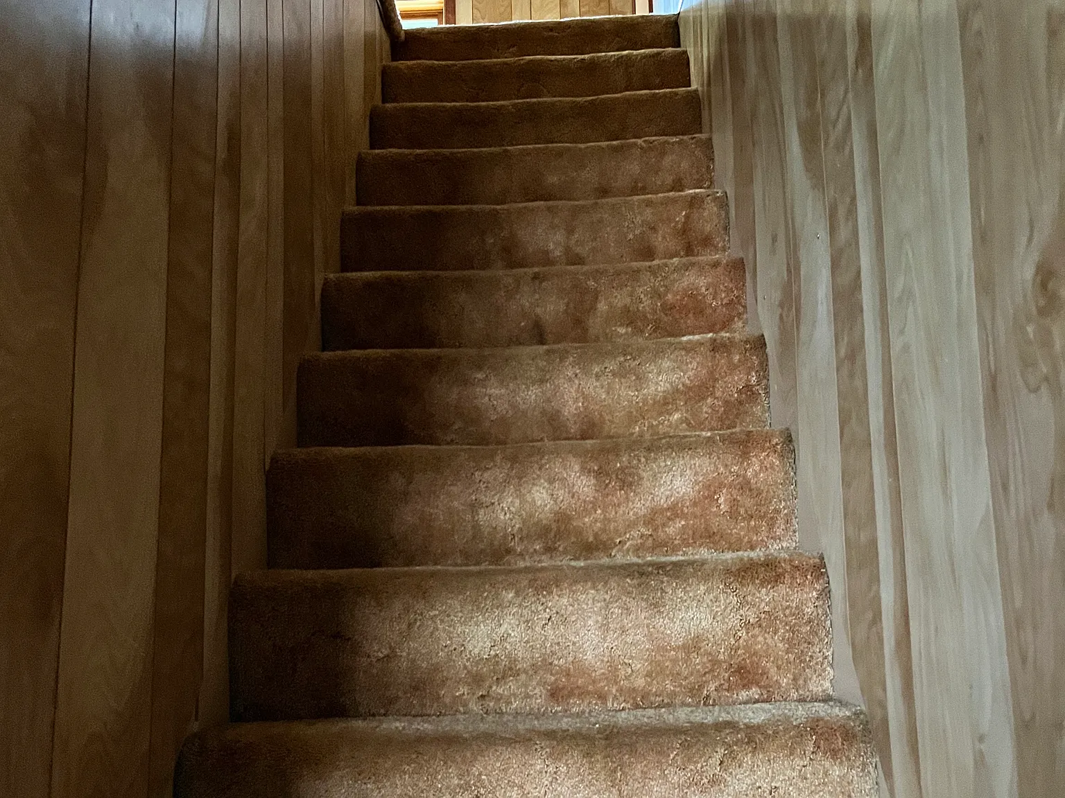 3 bed, 1.5 bath, 1823 sqft, $900 — Photo 4