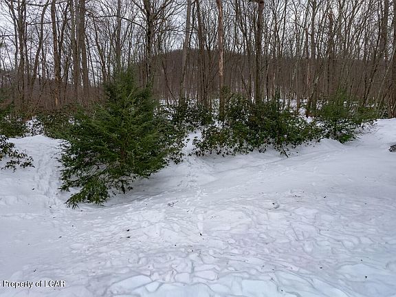 3rd image of 165 Buck Ridge Dr
