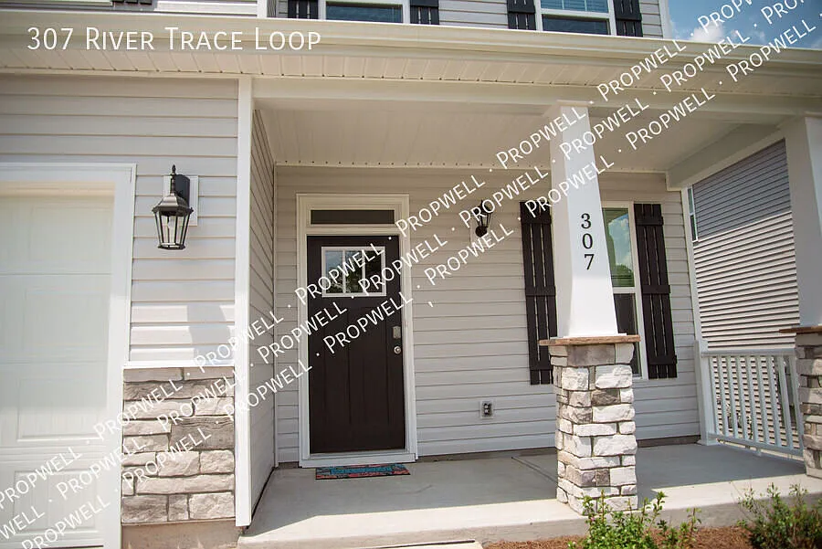 307 River Trace Loop — Photo 3